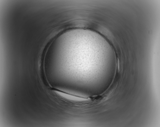 X0000088170483200705291935