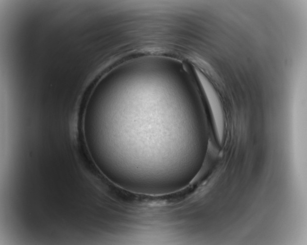 X0000088170484200705291935