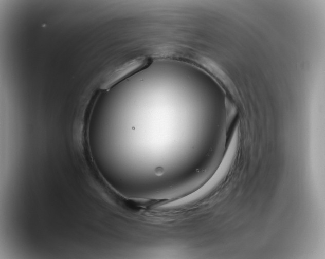 X0000088170485200705291935