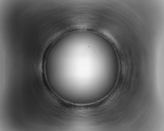 X0000088170486200705291935