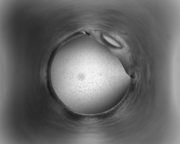 X0000088170487200705291935