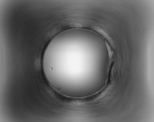 X0000088170489200705291934