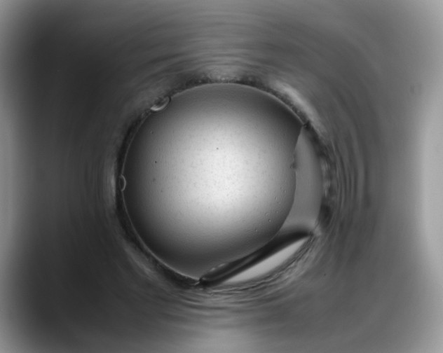 X0000088170493200705291934