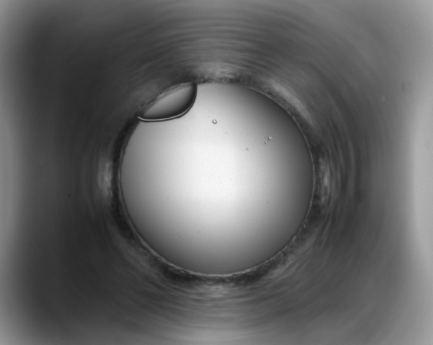 X0000088170494200705291934