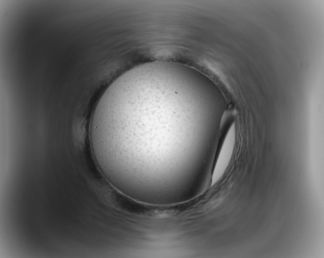 X0000088170495200705291934