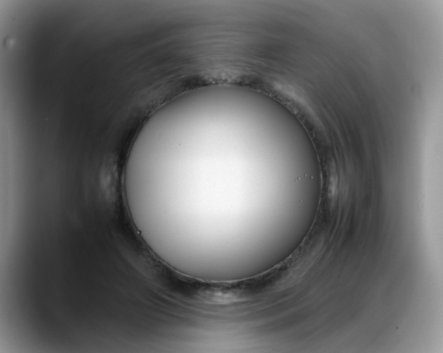 X0000088170498200705291934