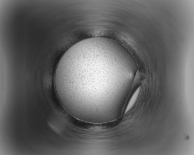 X0000088170499200705291934