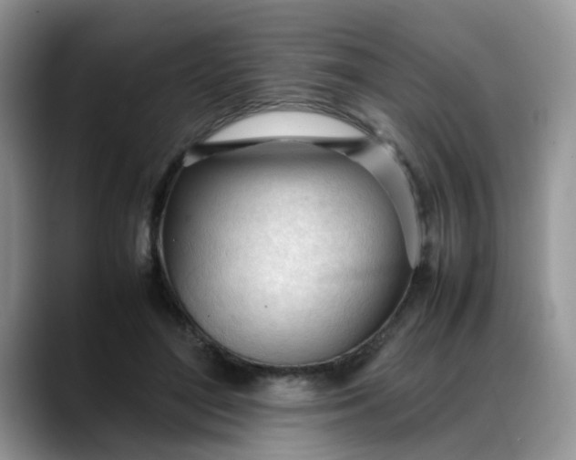 X0000088170500200705291934