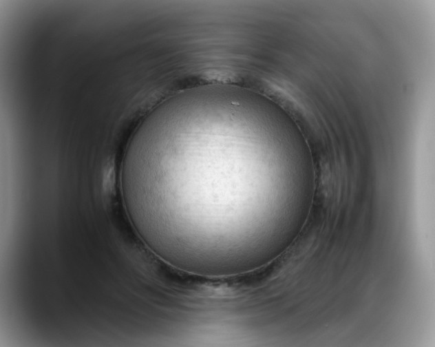 X0000088170502200705291934