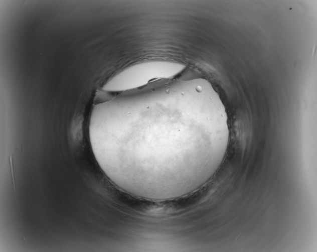 X0000088170504200705291934