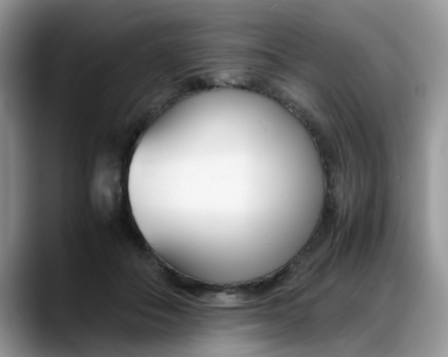 X0000088170506200705291934