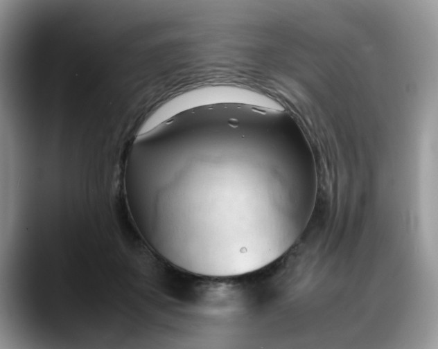 X0000088170507200705291934