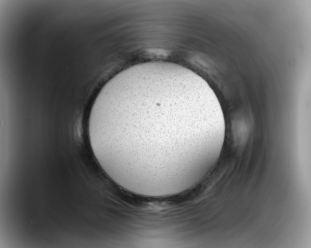 X0000088170508200705291934