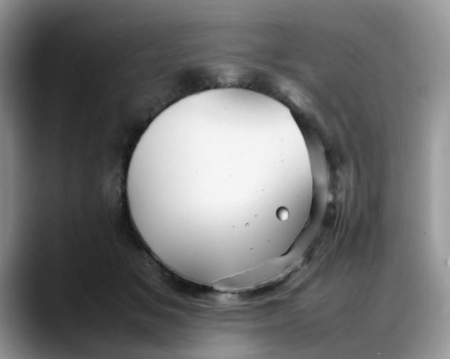 X0000088170509200705291934