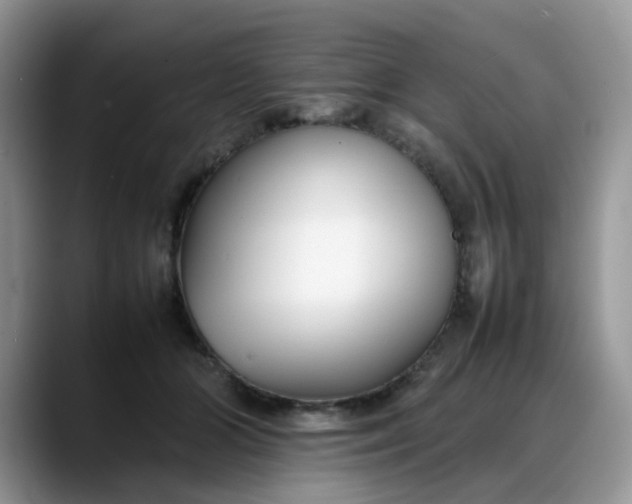 X0000088170510200705291934