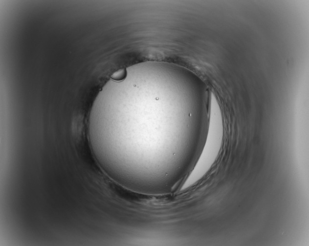 X0000088170511200705291934