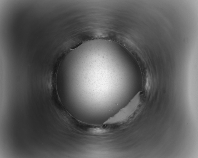 X0000088170512200705291934