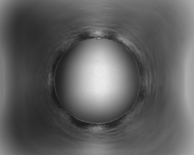 X0000088170513200705291934