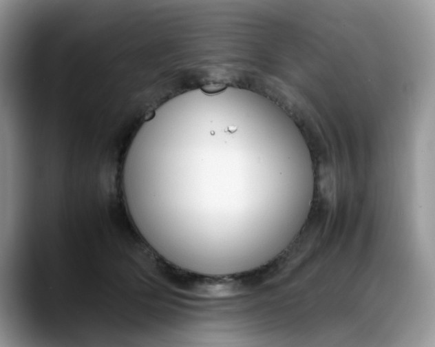 X0000088170514200705291934