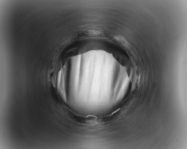 X0000088170516200705291934