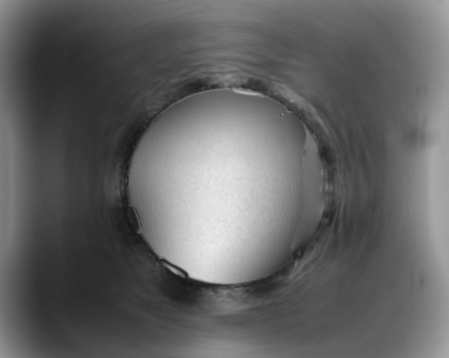 X0000088170517200705291934