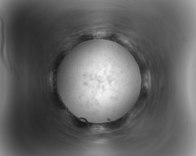 X0000088170519200705291934