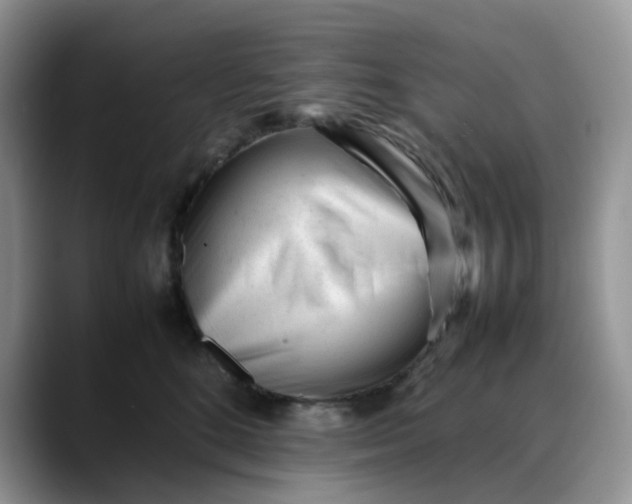 X0000088170520200705291934