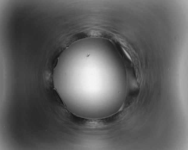 X0000088170521200705291934