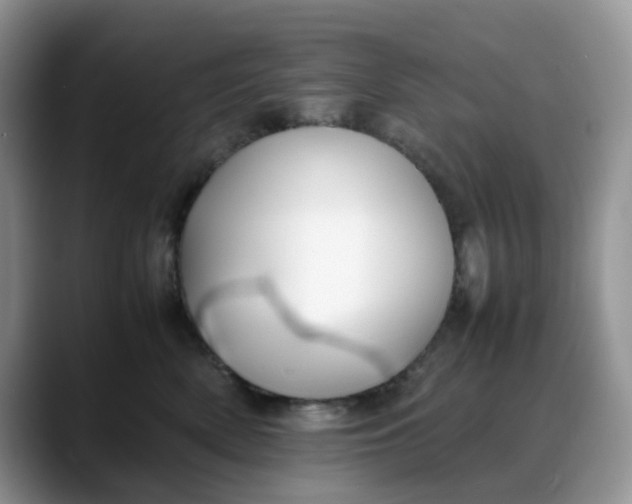 X0000088170522200705291934