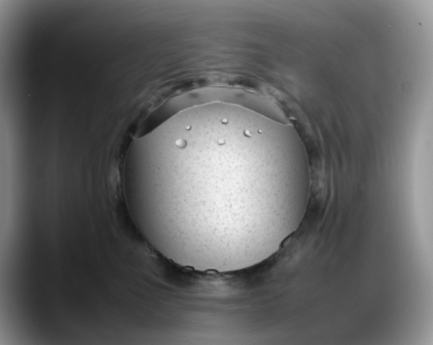 X0000088170523200705291934