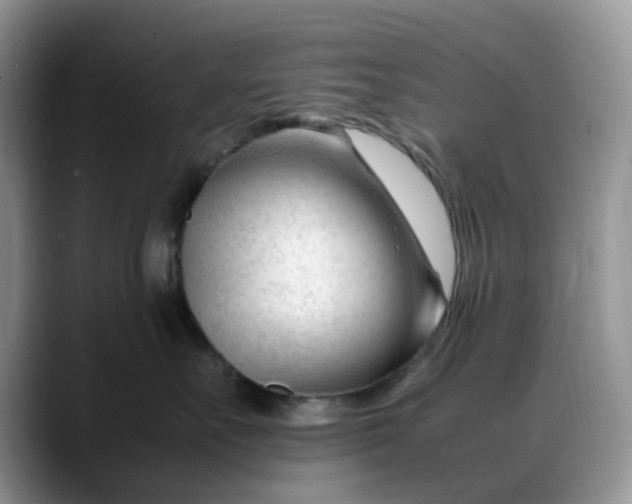 X0000088170527200705291934