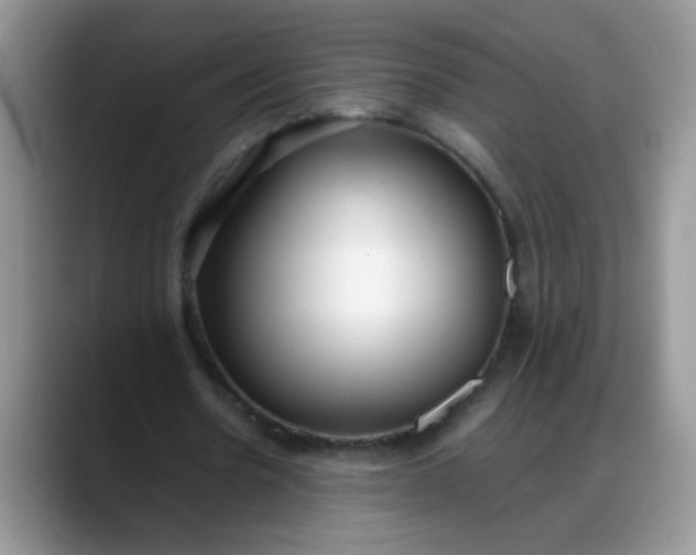 X0000088170530200705291933