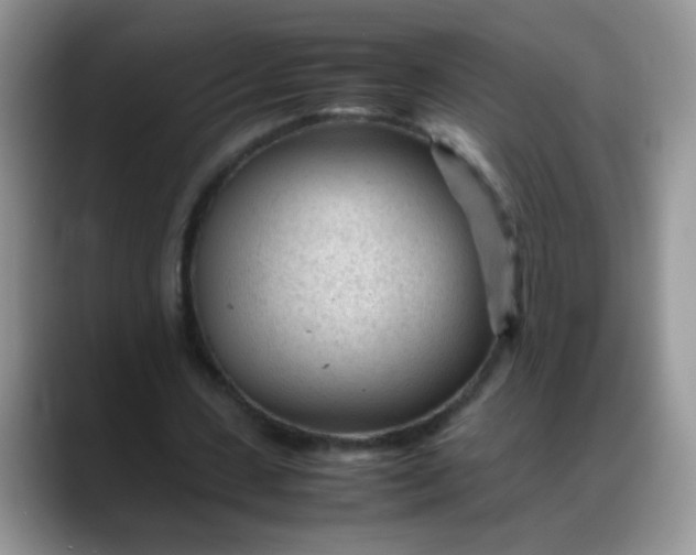 X0000088170531200705291933