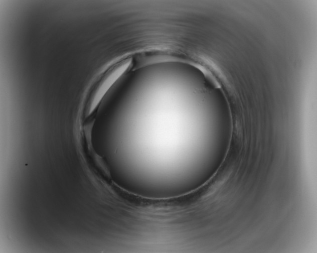 X0000088170532200705291933