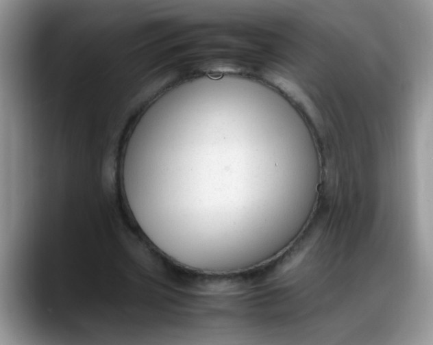 X0000088170533200705291933