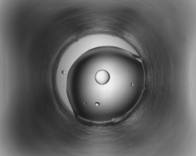 X0000088170534200705291933