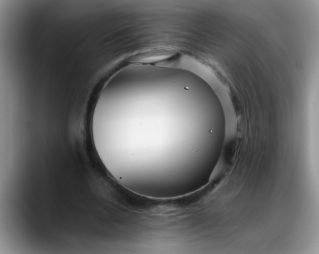 X0000088170536200705291933