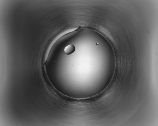 X0000088170538200705291933