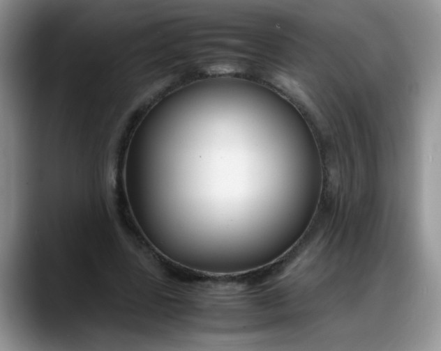 X0000088170539200705291933