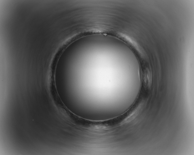 X0000088170540200705291933