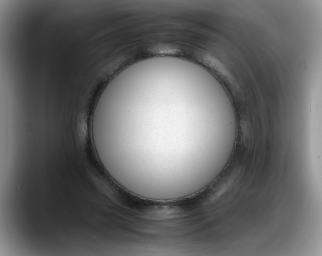 X0000088170541200705291934