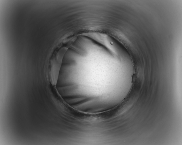 X0000088170542200705291934