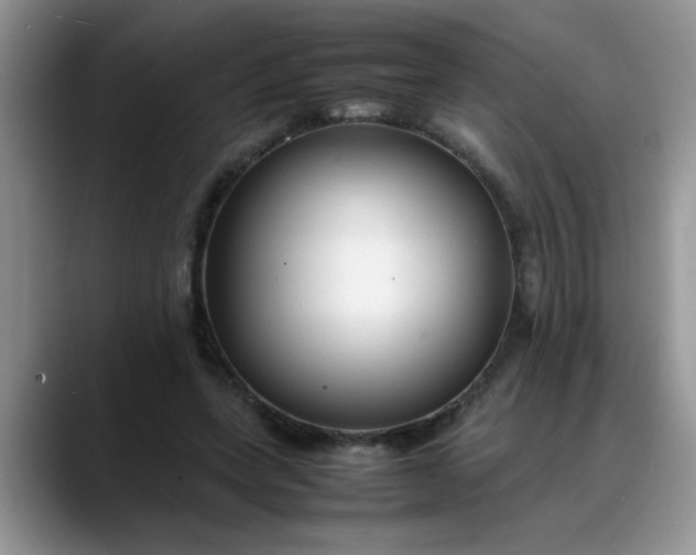 X0000088170543200705291934