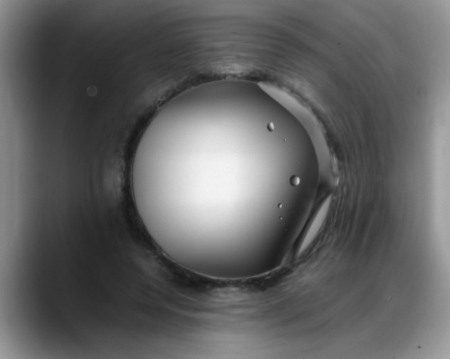 X0000088170544200705291934