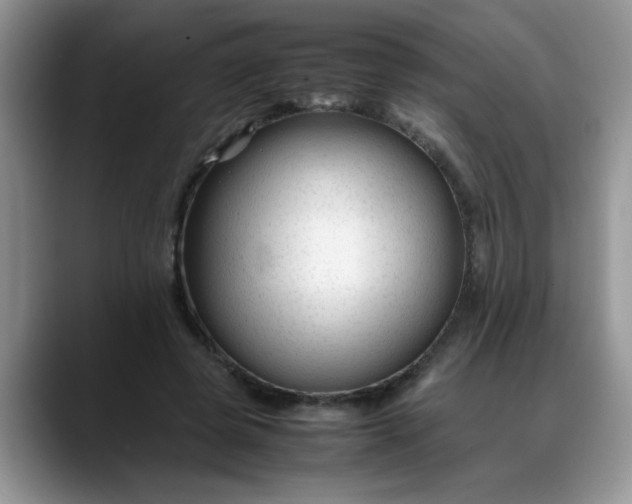 X0000088170545200705291934