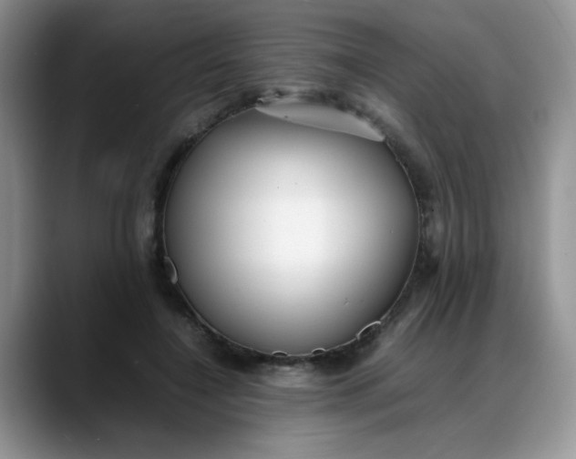 X0000088170548200705291934