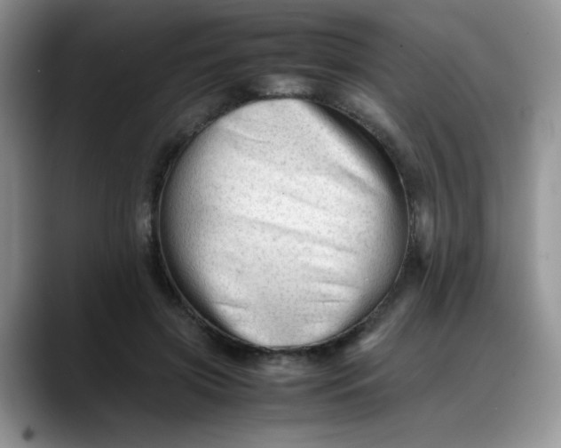 X0000088170549200705291934