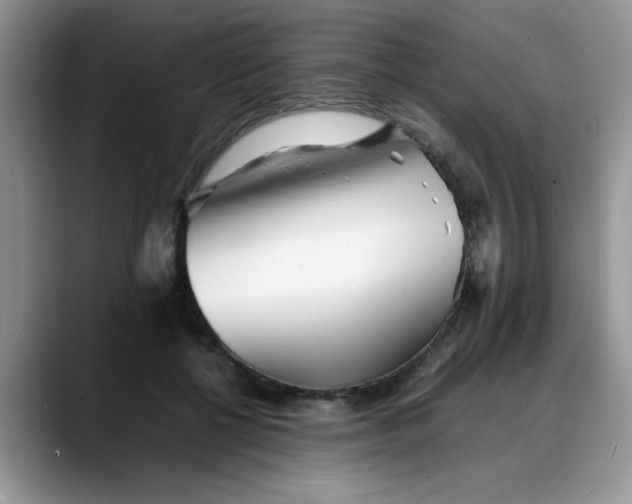 X0000088170552200705291934