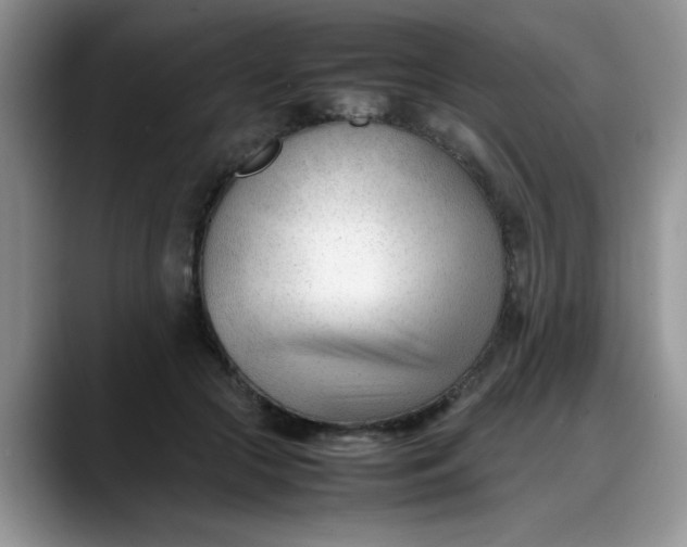 X0000088170553200705291934