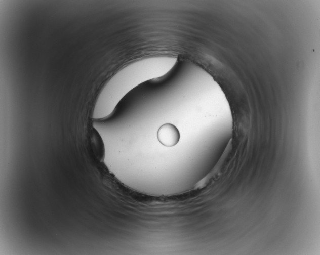 X0000088170556200705291934